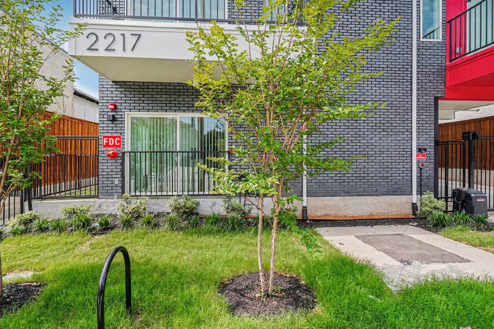 Landscaped front lawn beneath the 2217 North Fitzhugh address